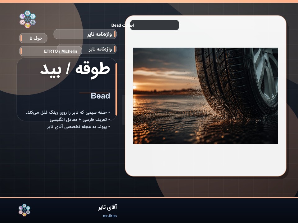 طوقه / بید