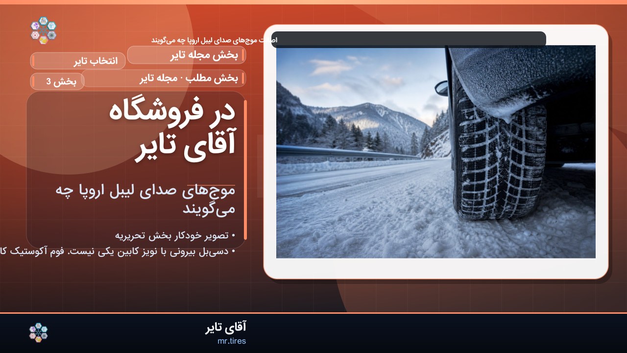 در فروشگاه آقای تایر